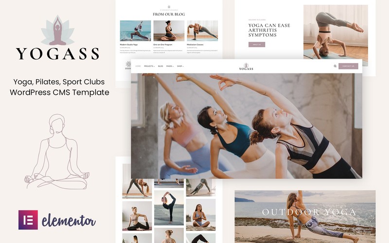 WordPress - WP18893