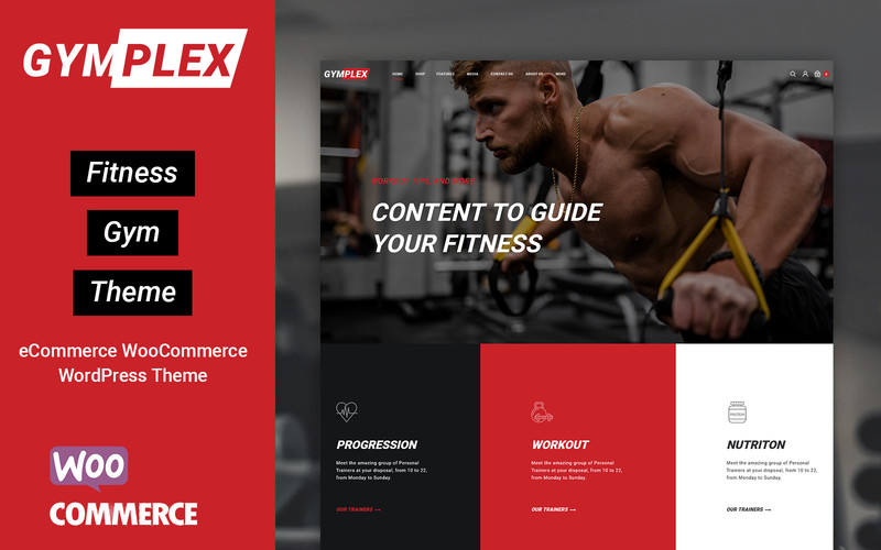 WordPress WooCommerce - W1577