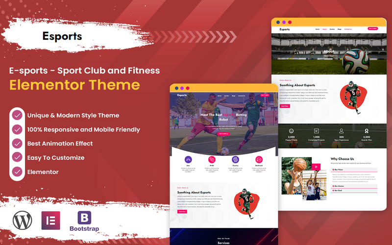 WordPress - WP19006
