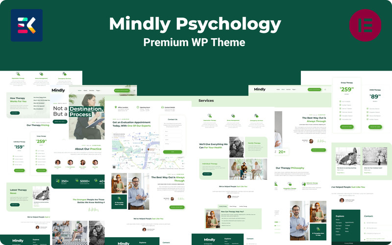 WordPress - WP19011